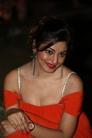 Shilpi Sharma Spicy Photos